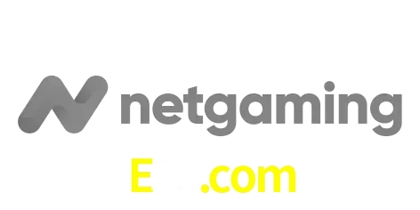 NetGaming